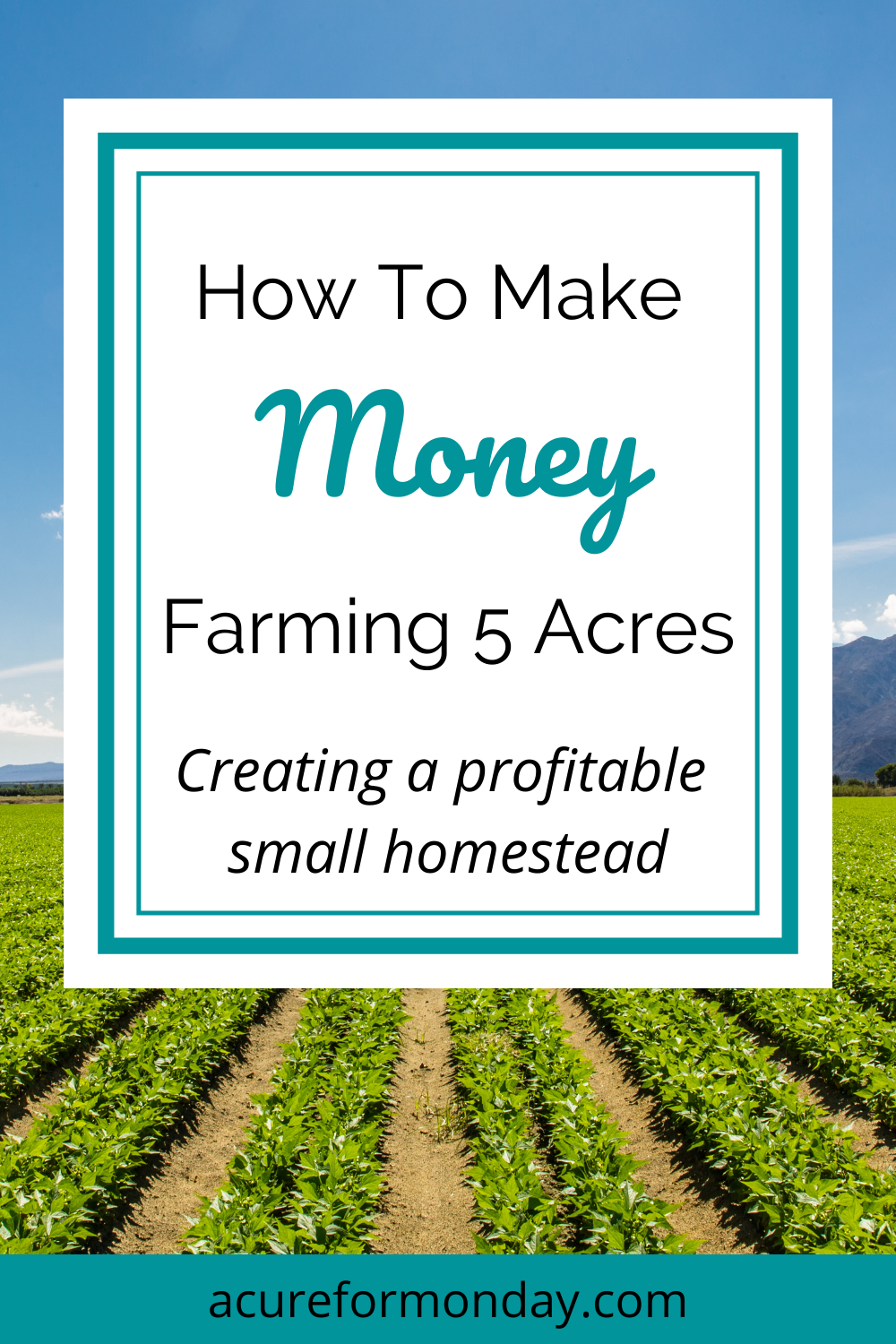 How To Make Money Farming 5 Acres: Creating A Profitable Small ...