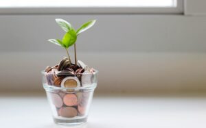 A plant in a glass pot filled with coins. How much is 5 figures?